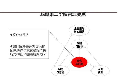 龍湖集團(tuán) 精細(xì)化管理鑄就卓越運營與穩(wěn)健成長