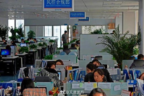 中企云鏈 以創(chuàng)新金融科技服務(wù)安心扎根，以信息技術(shù)咨詢服務(wù)舒心發(fā)展