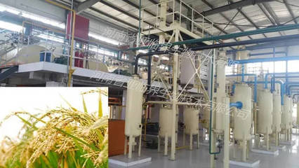 低溫亞臨界流體萃取米糠油工藝 提升農(nóng)副產(chǎn)品附加值的綠色技術(shù)