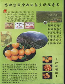 徐州農(nóng)副產(chǎn)品中心批發(fā)市場 守護(hù)“菜籃子”安全，譜寫惠農(nóng)興市新篇章